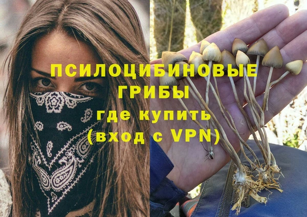mdpv Медвежьегорск