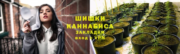 mdpv Медвежьегорск