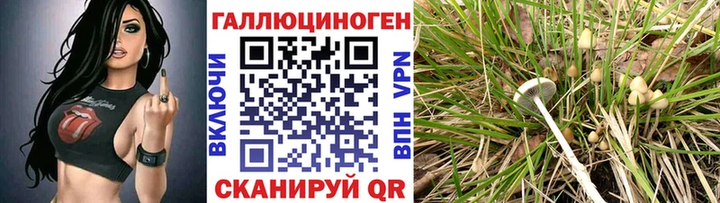Псилоцибиновые грибы ЛСД Черемхово