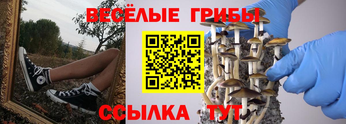 Галлюциногенные грибы Cubensis Черемхово