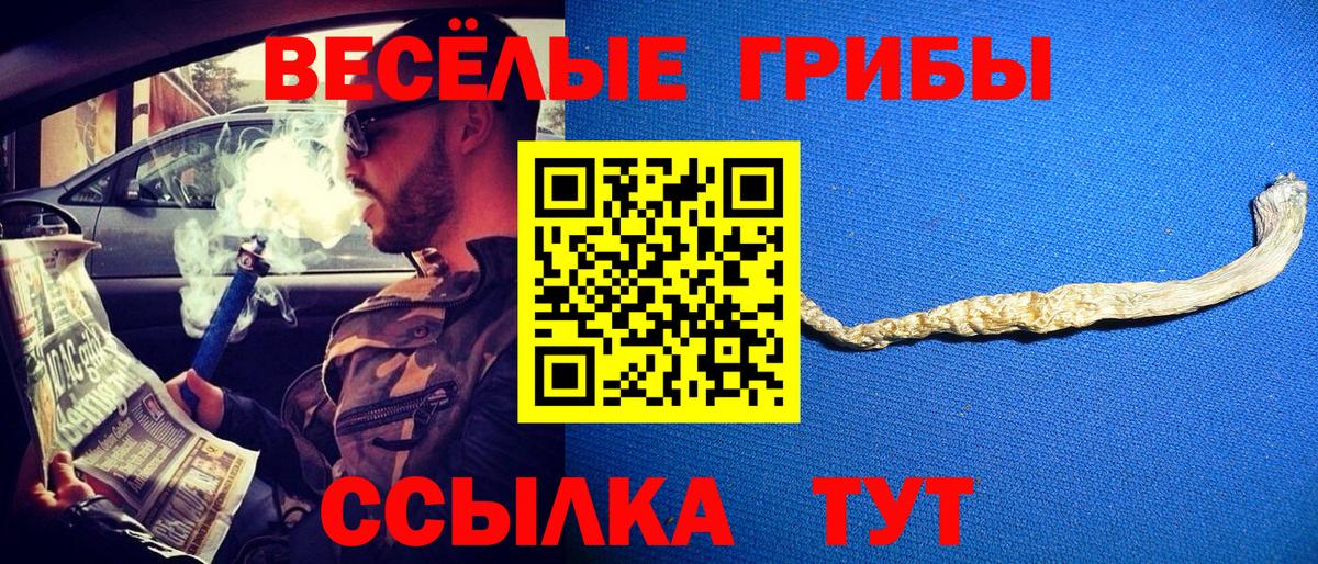 Псилоцибиновые грибы Magic Shrooms  Вход с VPN  Черемхово  Псилоцибиновые грибы Psilocybe 